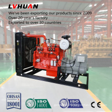 300kw Cummins Natural Gas Generator with Supplying Service All World